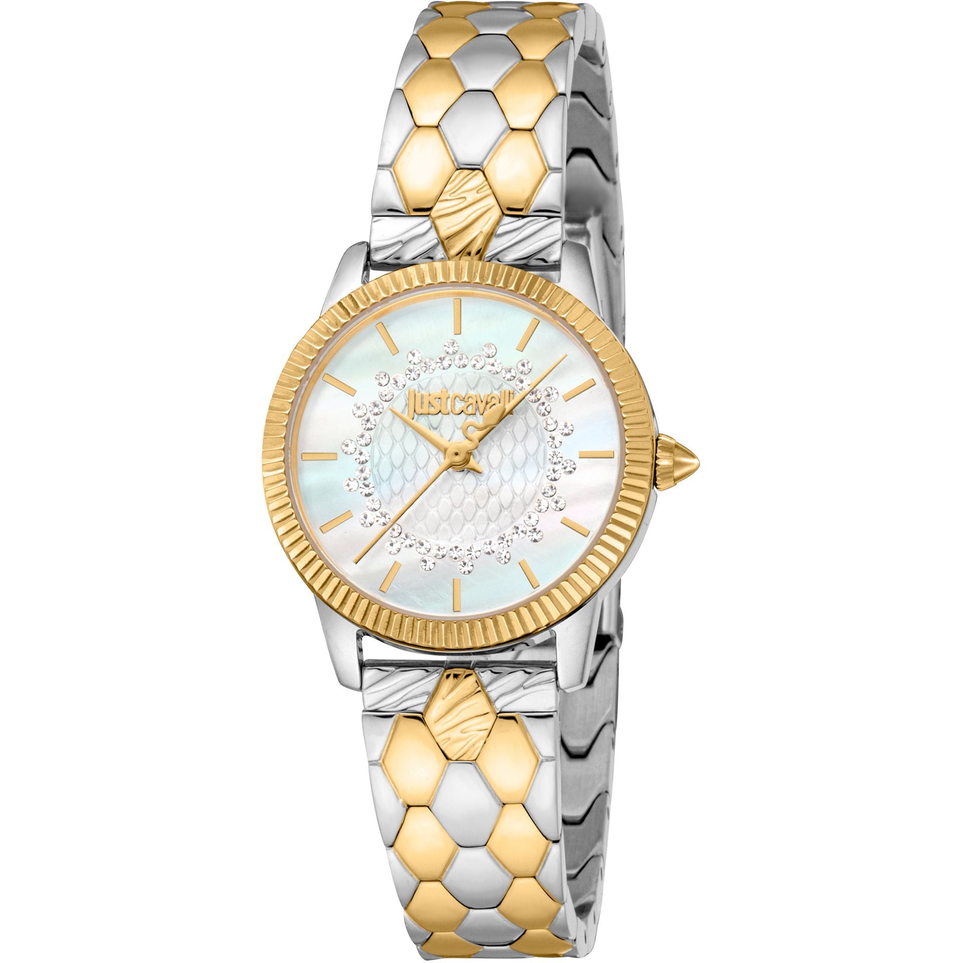 Just Cavalli X093_JC1L258M0265 image 0
