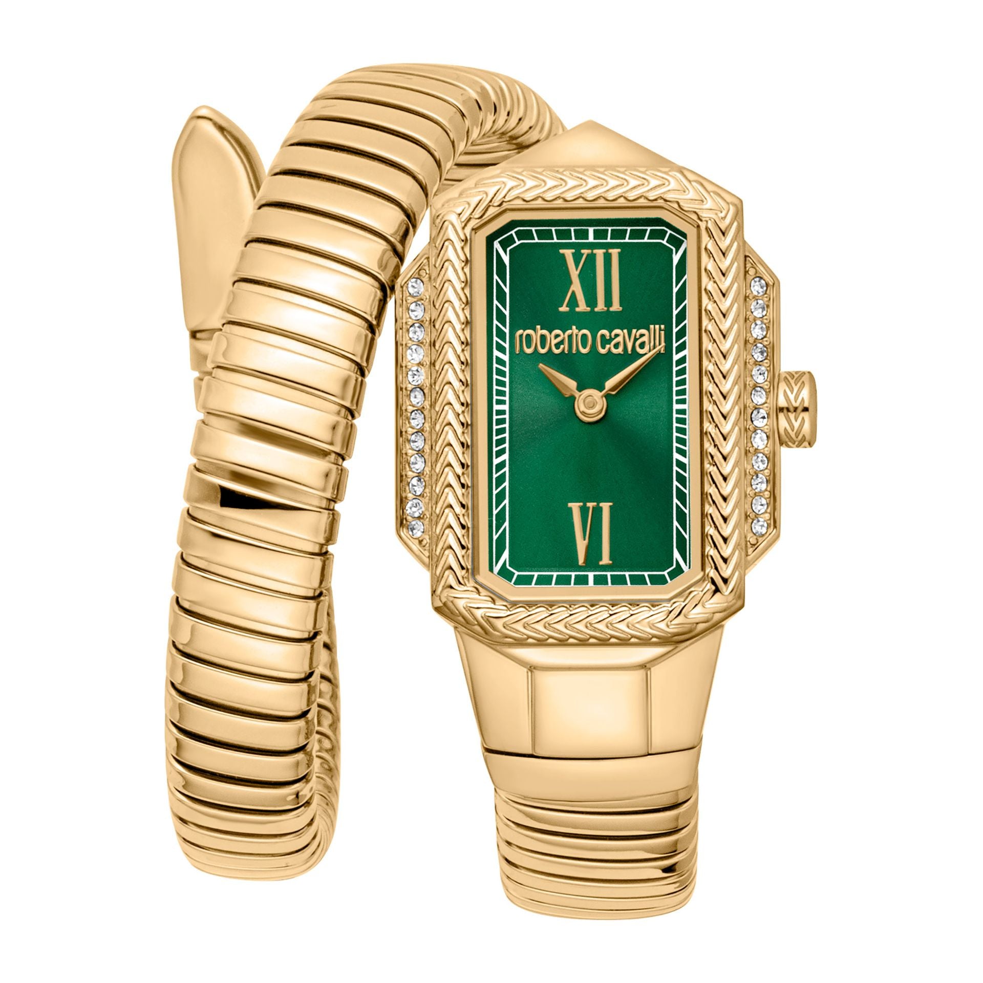 Roberto Cavalli X093_RC5L115M0045 image 0