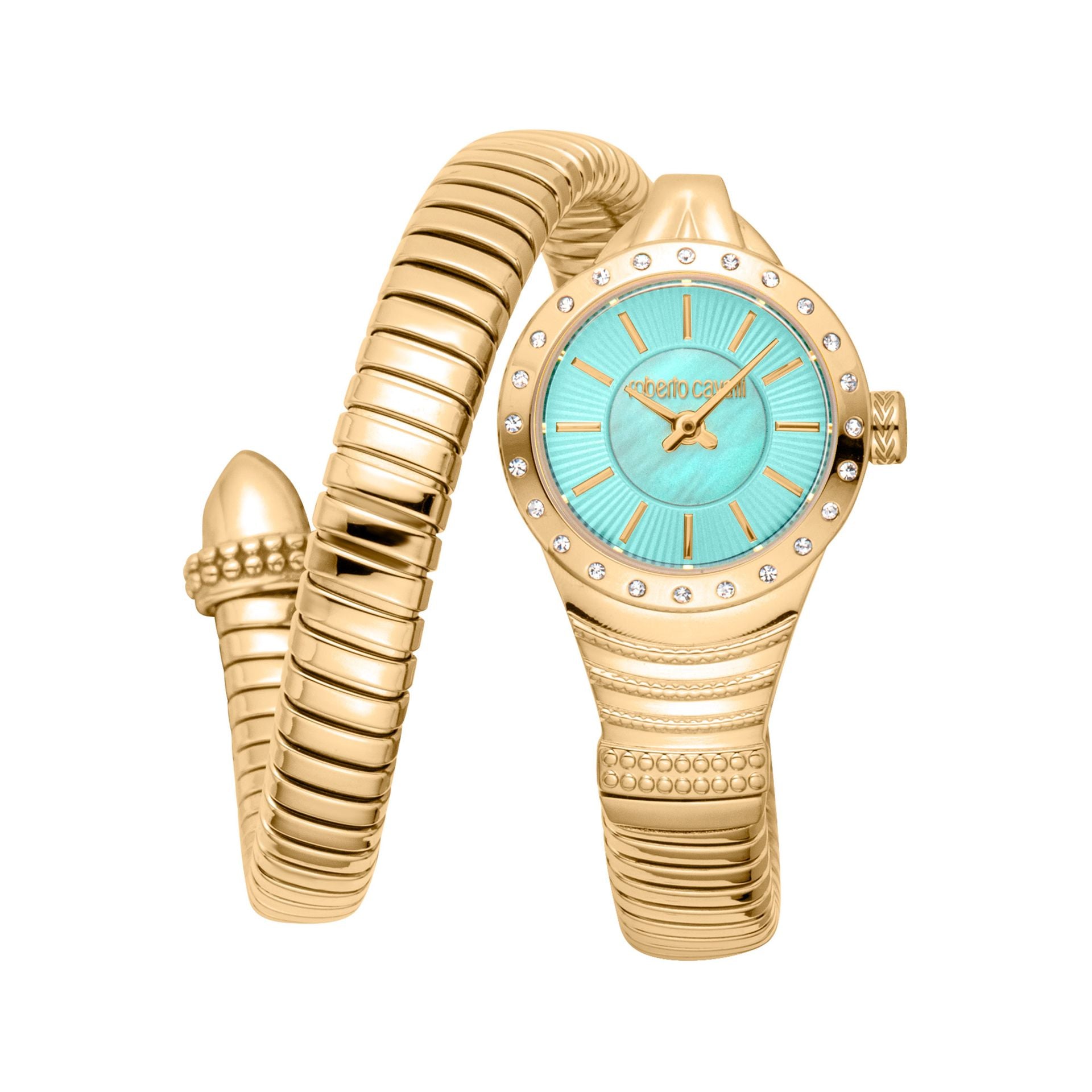 Roberto Cavalli X093_RC5L114M0045 image 0