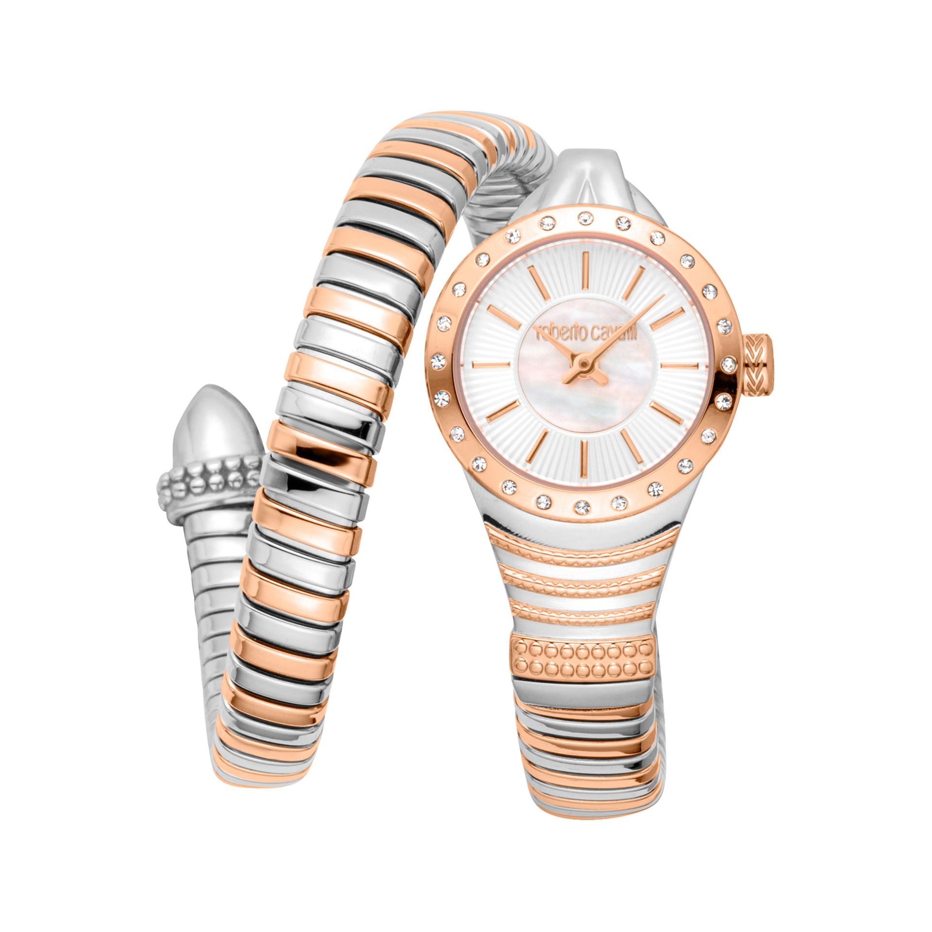 Roberto Cavalli X093_RC5L114M0085 image 0