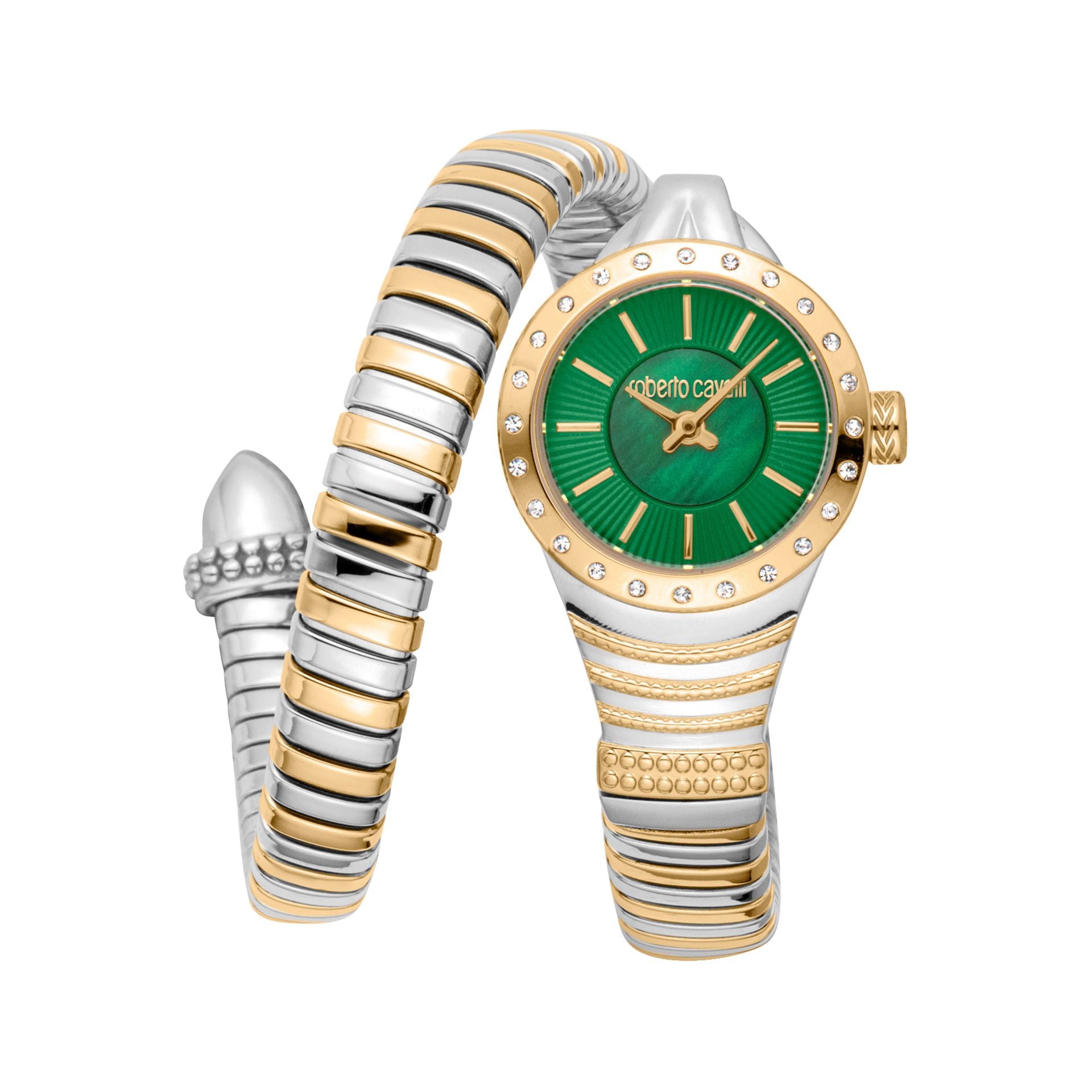 Roberto Cavalli X093_RC5L114M0075 image 0