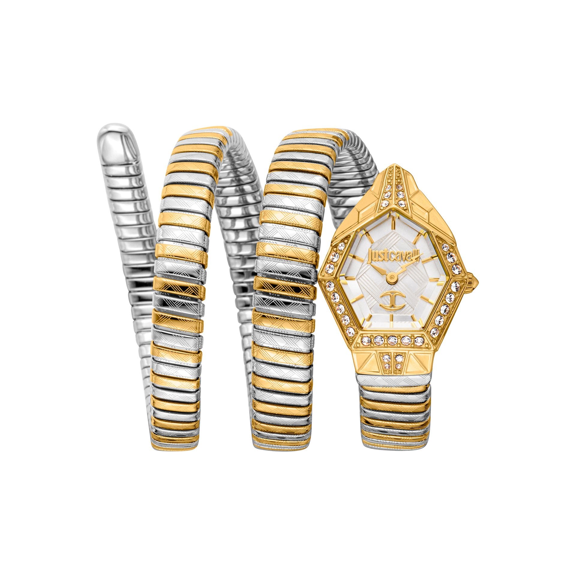 Just Cavalli X093_JC1L304M0055 image 0