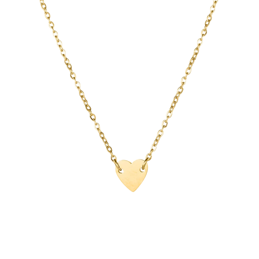 Heart Pendant Necklace - Gold & Silver