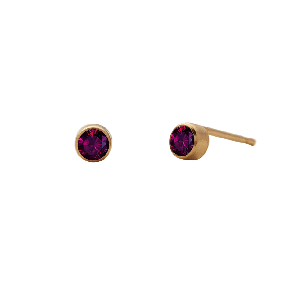 Birthstone Round Stud Earring