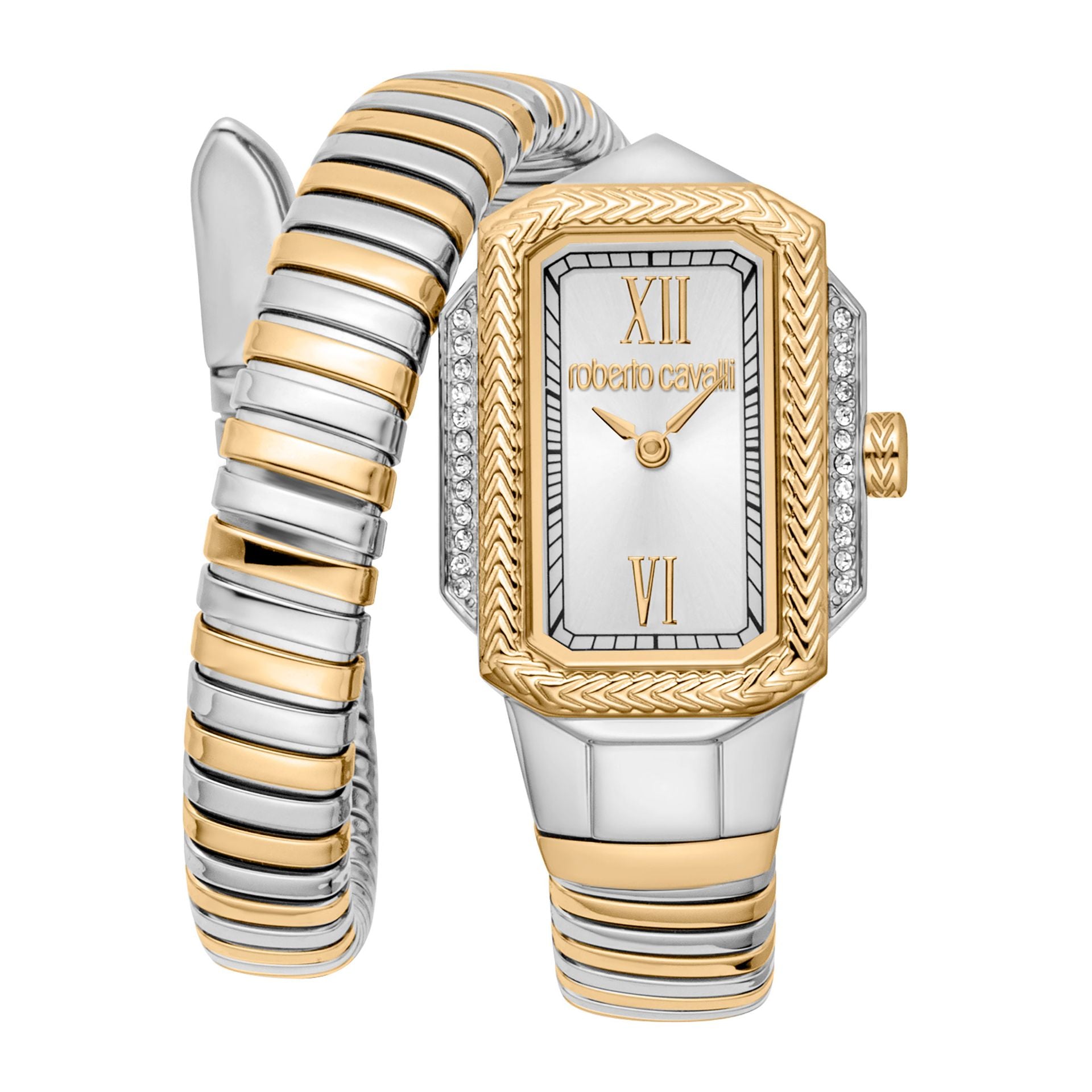 Roberto Cavalli X093_RC5L115M0065 image 0