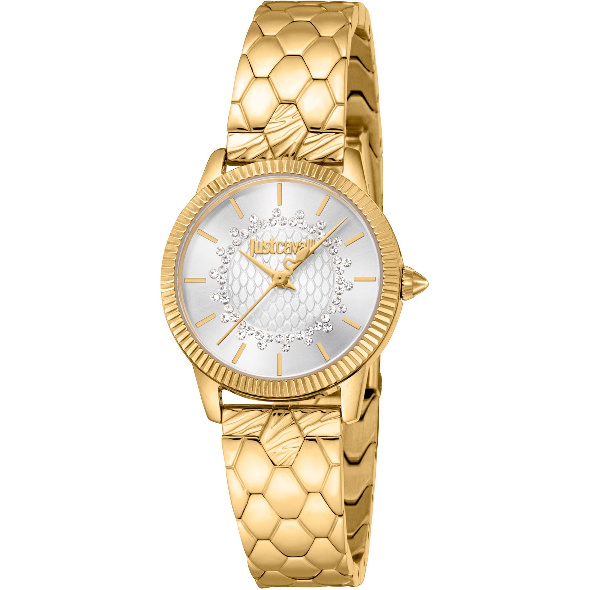 Just Cavalli X093_JC1L258M0235 image 0