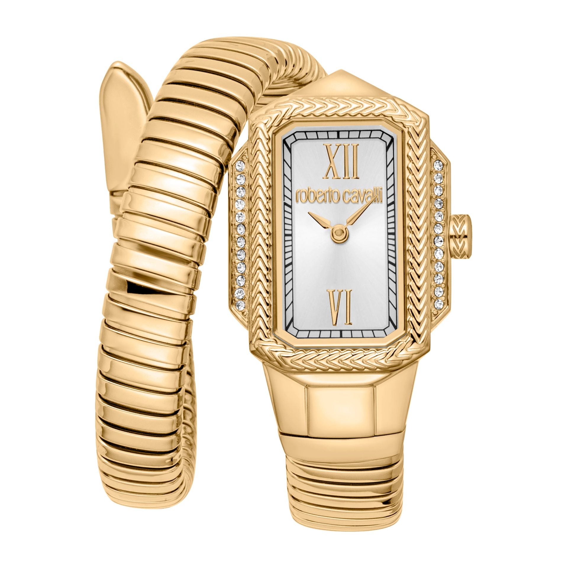 Roberto Cavalli X093_RC5L115M0035 image 0