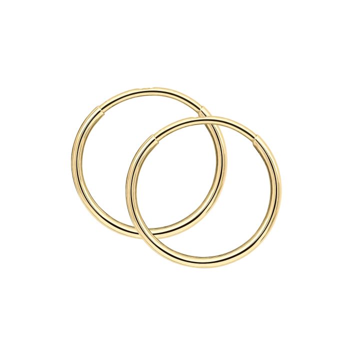 Elements Gold Hoop Earrings