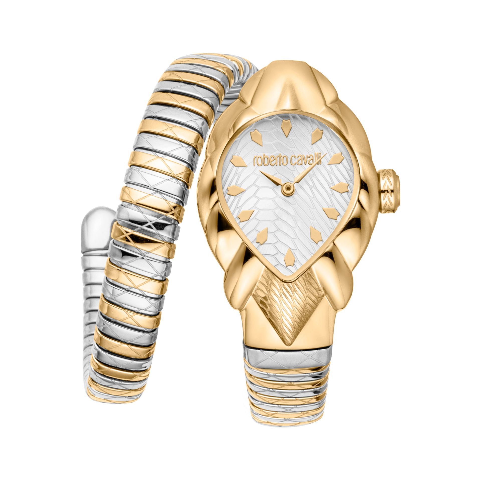 Roberto Cavalli X093_RC5L110M0065 image 0