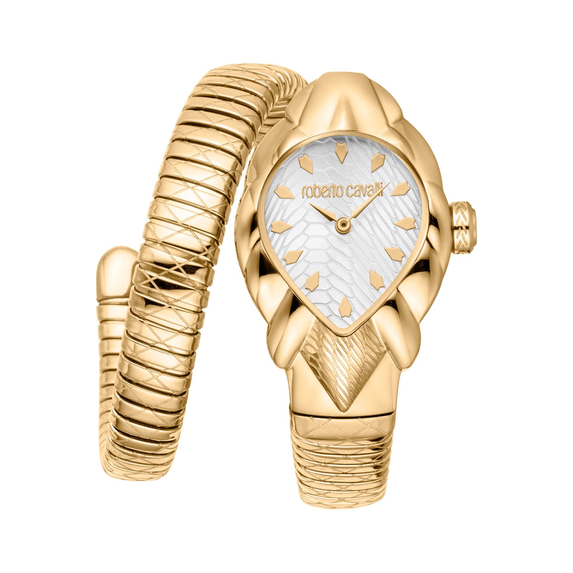 Roberto Cavalli X093_RC5L110M0035 image 0