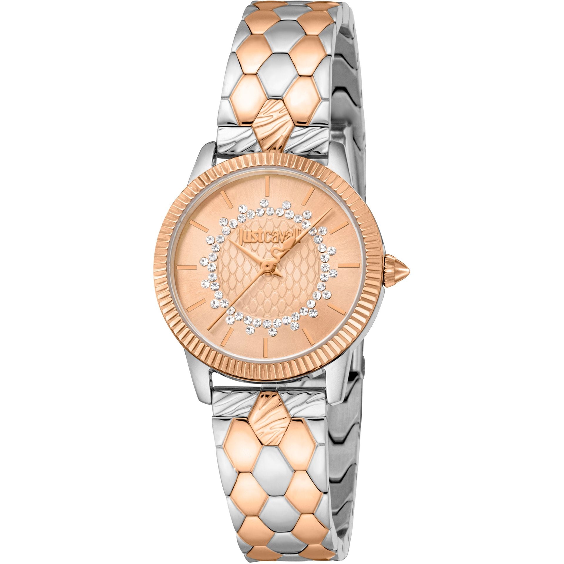 Just Cavalli X093_JC1L258M0275 image 0