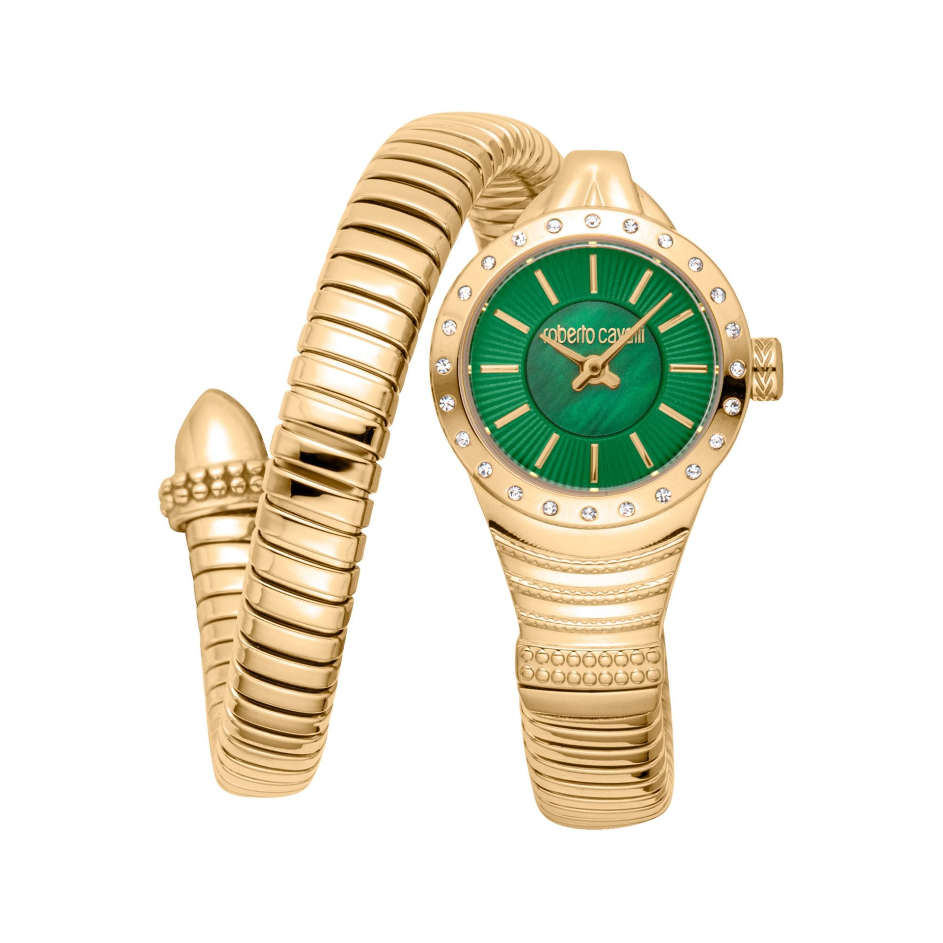 Roberto Cavalli X093_RC5L114M0035 image 0