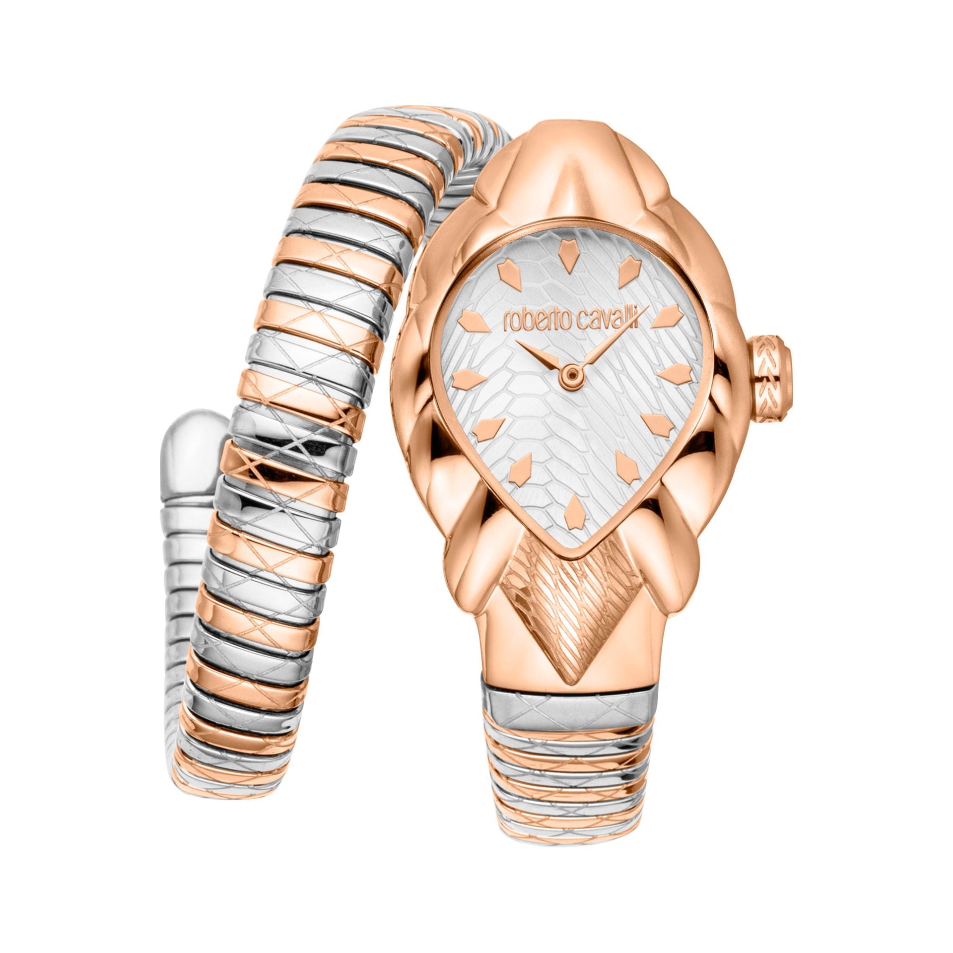 Roberto Cavalli X093_RC5L110M0085 image 0