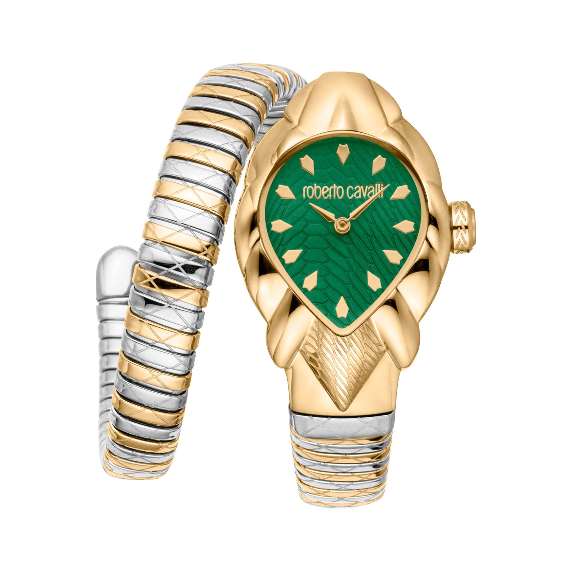 Roberto Cavalli X093_RC5L110M0075 image 0