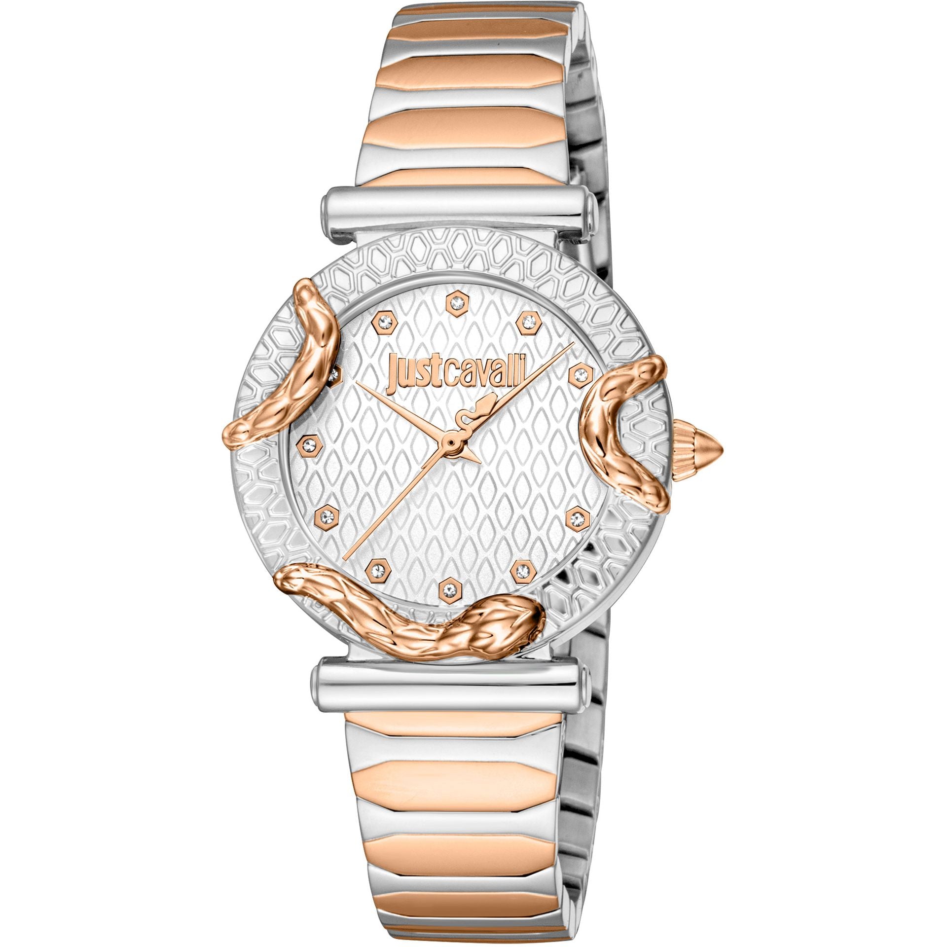 Just Cavalli X093_JC1L234M0265 image 0