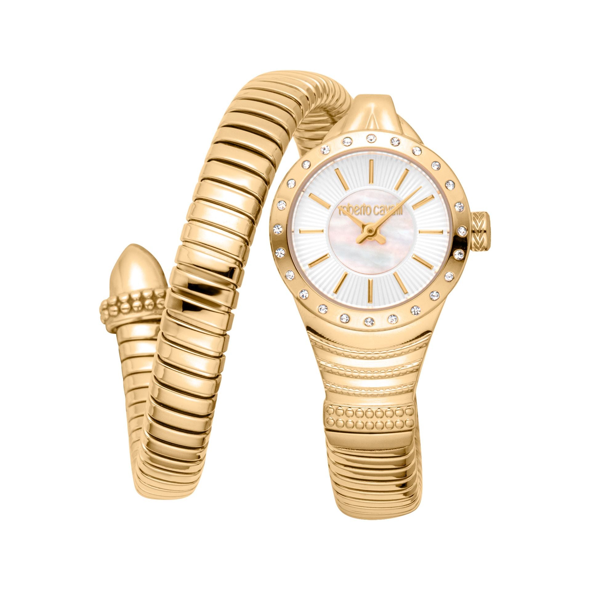 Roberto Cavalli X093_RC5L114M0025 image 0
