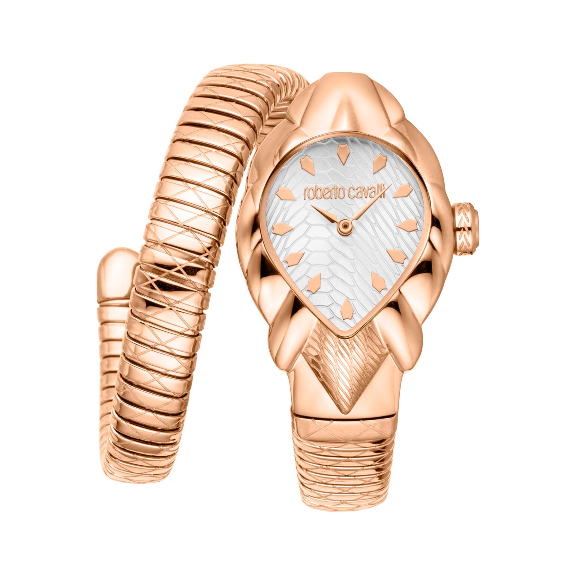 Roberto Cavalli X093_RC5L110M0055 image 0